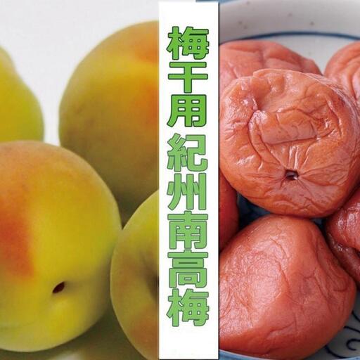 ［梅干・梅酒用］（4Lまたは3L－2Kg）熟南高梅＜2027年6月上旬～7月中旬発送予定＞フルーツ 果物 くだもの 食品 人気 おすすめ 送料無料［ART10］