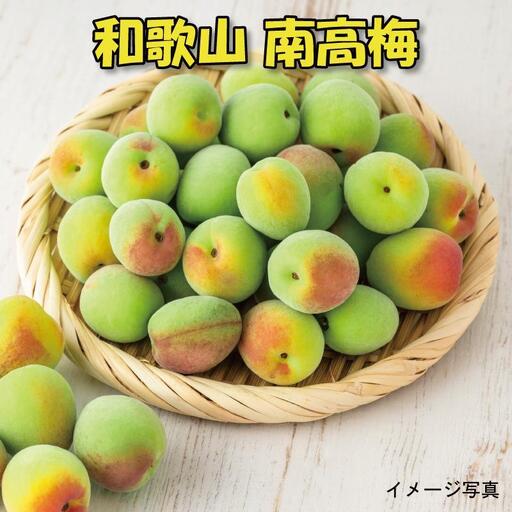 ［梅干・梅酒用］（LまたはM－2Kg）熟南高梅＜2027年6月上旬～7月中旬発送予定＞フルーツ 果物 くだもの 食品 人気 おすすめ 送料無料［ART07］