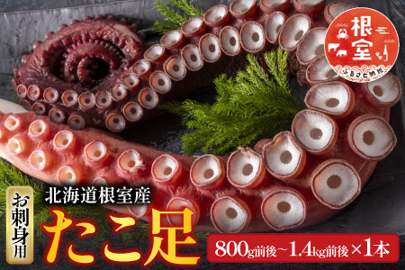【北海道根室産】たこ足800g前後～1.4kg前後×1本 A-70051