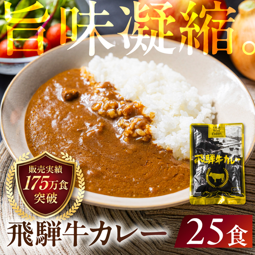 飛騨牛カレー（160ｇ×25袋） | 訳あり ご当地 ビーフカレー レトルト 人気 飛騨高山 DC008VC13