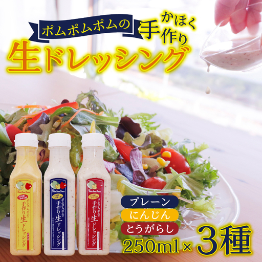 かほく生ドレッシング詰め合わせ 3本（玉ねぎ、唐辛子、人参）