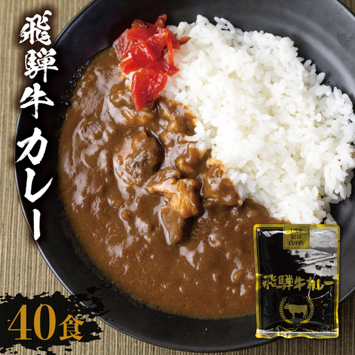 飛騨牛カレー(160g×40袋)| 訳あり ご当地 ビーフカレー レトルト 人気 飛騨高山 DC009VC13
