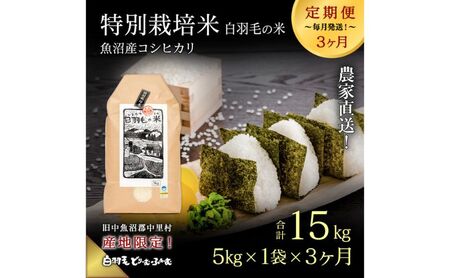 【通年受付】≪令和8年産≫【定期便／全3回】農家直送！魚沼産コシヒカリ特別栽培「白羽毛の米」精米(5kg×1袋)×3回 15kg お米