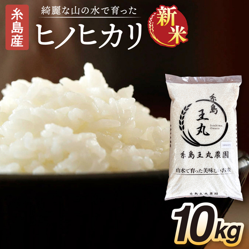 【令和8年産新米】糸島産 ヒノヒカリ 10kg  糸島市 / 糸島王丸農園 ( 谷口汰一 )【いとしまごころ】 [AAZ014]