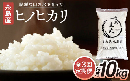 【全3回定期便】糸島産 ヒノヒカリ 10kg×3回 糸島市 / 糸島王丸農園 ( 谷口汰一 )【いとしまごころ】 [AAZ015]