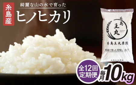 【全12回定期便】糸島産 ヒノヒカリ 10kg×12回　糸島市 / 糸島王丸農園 ( 谷口汰一 )【いとしまごころ】 [AAZ017]