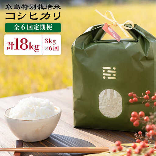 【 6回 定期便 】とくべつ の中の とくべつ 糸島 特別栽培米 3kg （ コシヒカリ ）《 糸島 》【株式会社やました】 [ARJ002]