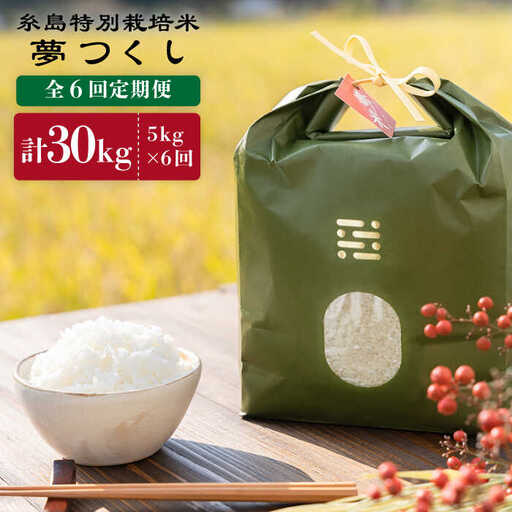 【 6回 定期便 】 とくべつ の中の とくべつ 糸島 特別栽培米 5kg （ 夢つくし ）《 糸島 》【株式会社やました】 [ARJ007]