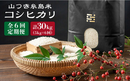 【6回定期便】糸島で農薬を使わずに育てた山つき 糸島 米 5kg（コシヒカリ）《糸島》【株式会社やました】 [ARJ016]