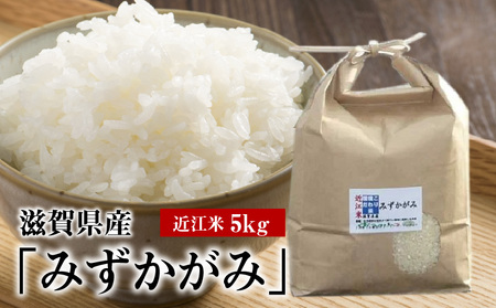 令和7年度産  近江米「みずかがみ」 5kg　 AD-0066