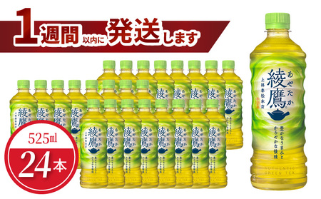 綾鷹 PET 525ml(24本入)ペットボトル 綾鷹 水分補給 常備 お茶 緑茶 コカ・コーラ