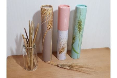 大麦ストロー「すとろーている」、ケース入り３色セット（茶・桃・空）天然素材 エコ ストロー 大麦 すとろーている ケース入り 選べる 栽培期間中農薬不使用 SDGs 土に還る 脱プラ 脱プラスチック インテリア おしゃれ 環境保全 人気 自然 CC-0001