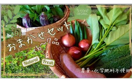 [農薬・化学肥料不使用]旬のお野菜おまかせセット 6〜7品 | 野菜 野菜 野菜 野菜 野菜