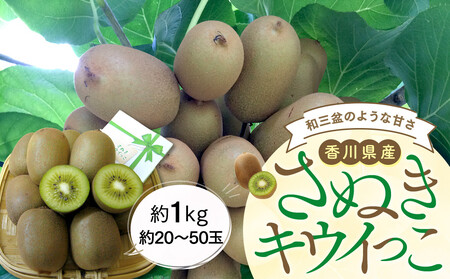 さぬきキウイっこ 約1kg (約20〜50玉) [11月上旬頃〜発送]