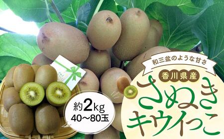 さぬきキウイっこ 約2kg (約40～80玉) 【11月上旬頃～発送】