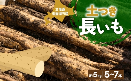 北海道産 青野農園 土つき 長いも 約5kg 5〜7本 2026年11月下旬〜1月中旬ごろお届け 先行予約 ながいも 土付き 北海道 長芋 自然薯 とろろ いも イモ 旬 野菜 農作物 産地直送 お取り寄せ 根菜