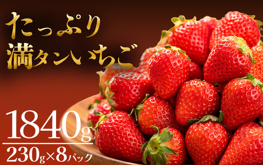 いちご[2027年発送]たっぷり 満タンいちご 8パック [ いちご ]
