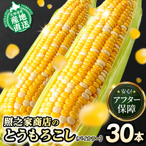とうもろこし ドルチェドリーム 30本 | 北海道とうもろこし