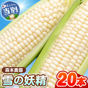 【2026年先行予約】森本農園 とうもろこし「雪の妖精」20本セット