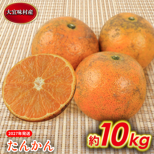 たんかん【2027年発送】大宜味村 たんかん 約10kg 沖縄