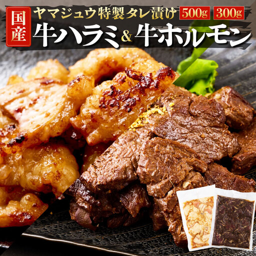 ヤマジュウの特選タレ漬け！和牛ハラミ肉５００g＆国産牛ホルモン３００ｇ