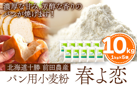 北海道十勝前田農産パン用小麦粉「春よ恋」1kg×10袋 計10袋 有限会社 十勝太陽ファーム 送料無料 北海道 本別町[60日以内に出荷予定(土日祝除く)]小麦粉小麦粉小麦粉小麦粉小麦粉