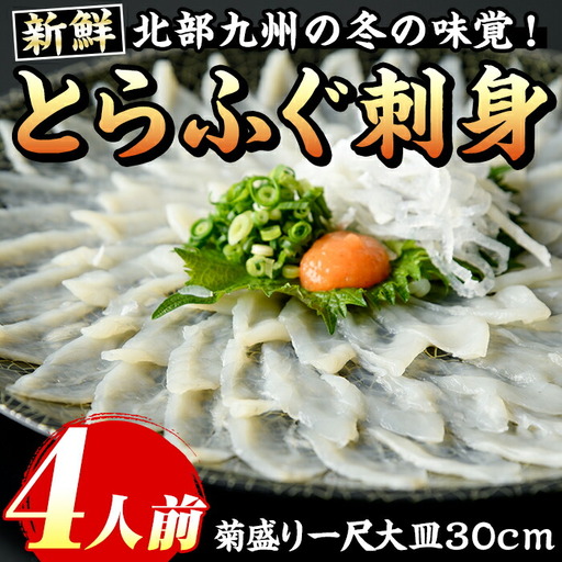 とらふぐ刺身(4人前) 菊盛り一尺大皿30cm ふぐ フグ 本ふぐ ふぐ刺し ふぐ皮 てっさ もみじおろし 高級 お祝い ギフト  贈り物 贈答用 ギフト 冷凍【マル五】as06-003