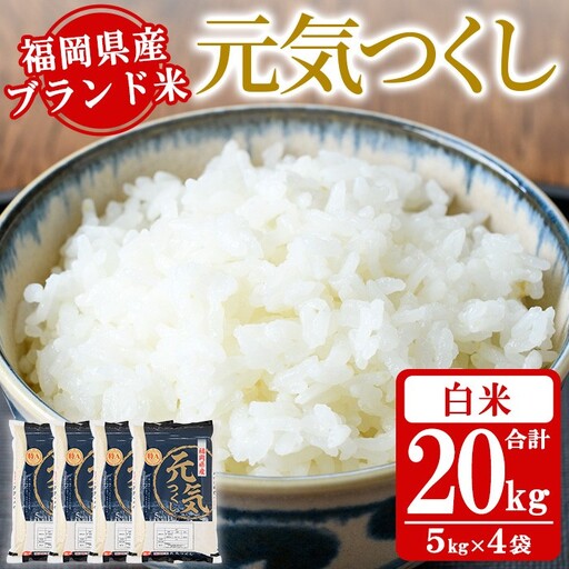 《白米》福岡県産ブランド米「元気つくし」(計20kg・5kg×4袋) 白米 米 お米 おこめ ごはん げんきつくし ご飯 常温 福岡県産 ブランド米 常温 常温保存 おにぎり おむすび お弁当 ライス【朝ごはん本舗】as05-056