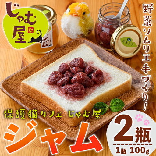 じゃむ屋のジャム詰め合わせギフトセット (2瓶) ジャム じゃむ 加工品 フルーツ 果物 果実 詰め合わせ 野菜 セット ギフト 贈答用 プレゼント 贈り物 食べ比べ お楽しみ 手づくり 手作り 朝食 常温 常温保存【じゃむ屋】as15-001