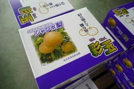 期間限定 騎西の梨「彩玉」 梨