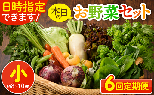 【６回定期便】日時指定OK！本日のお野菜セット （小サイズ/約8～10種） /  野菜 有機栽培 産地直送 新鮮 旬 詰め合わせ きのこ類 やさい 送料無料 【オーガニックのまち 宮崎県綾町】_A0053-003
