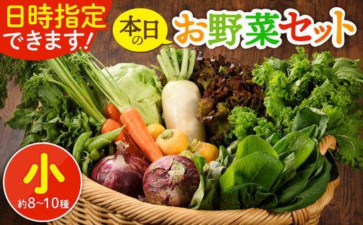 【日時指定OK】本日のお野菜セット （小サイズ/約8～10種） / 野菜 有機栽培 産地直送 新鮮 旬 詰め合わせ 宮崎県綾町_A0053-001