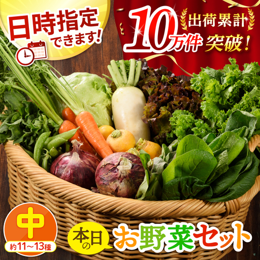 日時指定OK!本日のお野菜セット [中サイズ/約11~13種] 2〜3人用 新鮮 産地直送 野菜詰め合わせ 有機栽培 野菜 果物 野菜セット 野菜定期便 送料無料 [オーガニックのまち 宮崎県綾町]