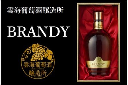 綾ブランデー 720ml 40度 国産 ブランデー 蒸留酒 洋酒 贈答 ギフト プレゼント 雲海ワイン 雲海葡萄酒醸造所 ブランデー【雲海酒造】_A0114-065