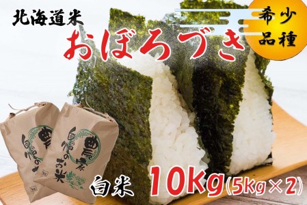 令和7年度産 北海道米 おぼろづき 白米 10kg (5kg×2) 北海道 新ひだか町