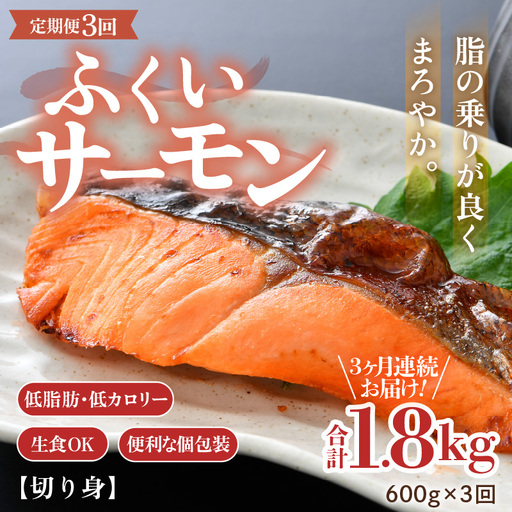 《定期便3回》ふくいサーモン 切り身 100g×6切 計600g＜鮮度抜群！＞ ／サーモン 鮭 [aw002-f002]