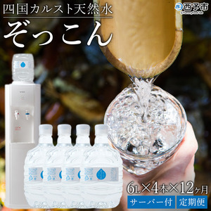 四国カルスト天然水ぞっこん 定期便(毎月6L×4本 1年間)レンタルウォーターサーバー付