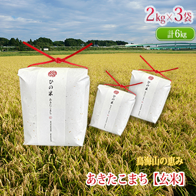 あきたこまち ひの米 玄米 秋田県産 あきたこまち【6kg(2kg×3袋)】