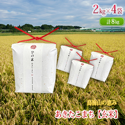 あきたこまち ひの米 玄米 秋田県産 あきたこまち【8kg(2kg×4袋)】