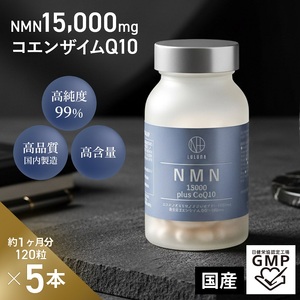 1000-57-01 NMN15000 plus CoQ10 (15,000mgの高配合) ×5箱