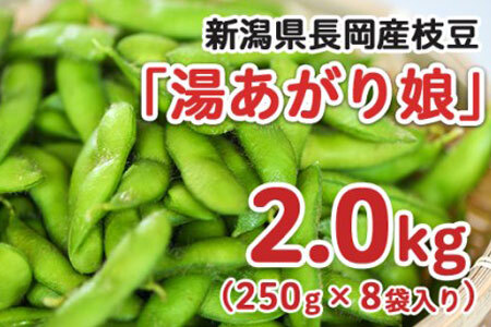 75E-14新潟県長岡産枝豆2.0kg【湯あがり娘250g×8袋入り】