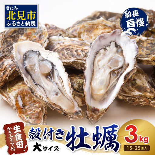 【予約：2026年10月中旬から順次発送】サロマ湖自慢の殻付きカキ貝 大 3kg詰め ( 牡蠣 かき 濃厚 大きい 魚介類 貝類 殻付 殻付き牡蠣 BBQ バーベキュー )【114-0072-2026】