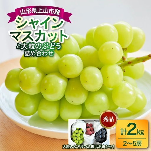 シャインマスカットと大粒ぶどうの詰合せ（品種おまかせ）２ｋｇ　0017-2609
