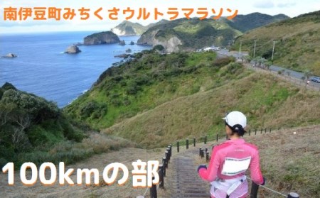 南伊豆町ウルトラマラソン100kmの部参加プラン