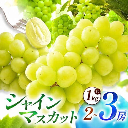 【先行予約】【数量限定】宮内果樹観光園のシャインマスカット 約1kg 2房前後 | フルーツ 果物 くだもの ぶどう ブドウ 葡萄 シャインマスカット マスカット 産地直送 国産 大分県 中津市