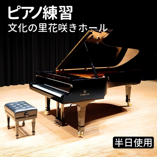 ピアノ練習 文化の里花咲きホール半日使用 [No.394]