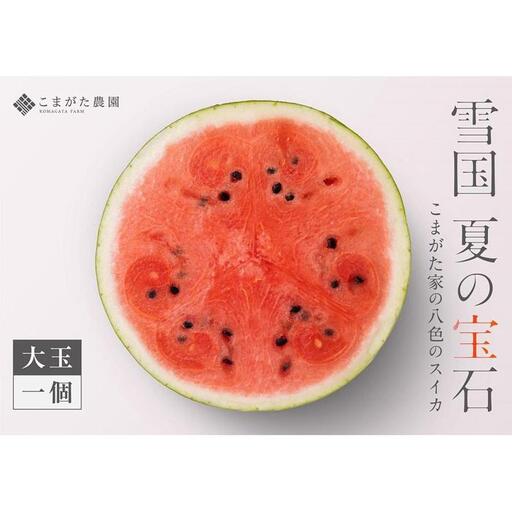 【2026年7月下旬〜8月上旬順次発送予定】高級南魚沼八色産スイカ「こまがた家の八色のスイカ」プレミアム大玉 1玉【西瓜 スイカ すいか 大玉 季節限定 果物 フルーツ ギフト 名産地 産地直送 シャキシャキ 厳選 デザート 新潟県】