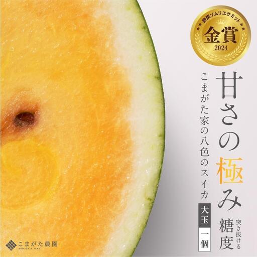【2026年7月下旬〜8月上旬順次発送予定】糖度日本一・金賞W受賞 金色羅皇  最高級南魚沼八色産黄色スイカ「こまがた家の八色のスイカ」プレミアム大玉 1玉【西瓜 スイカ すいか 大玉 季節限定 果物 フルーツ ギフト 名産地 デザート】
