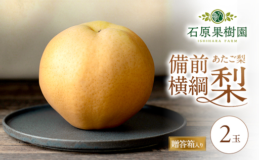 梨 2026年 備前横綱梨(あたご梨) 2玉 (1玉1〜1.4kg)贈答箱[11月下旬〜12月中旬頃発送] ナシ なし 岡山県産 国産 フルーツ 果物 ギフト 石原果樹園