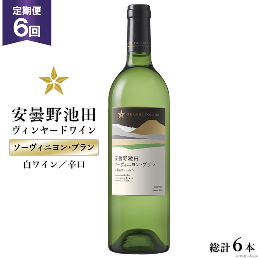 6回 定期便 白ワイン サッポロ グランポレール 安曇野池田ヴィンヤード「ソーヴィニヨン・ブラン」750ml 総計6本